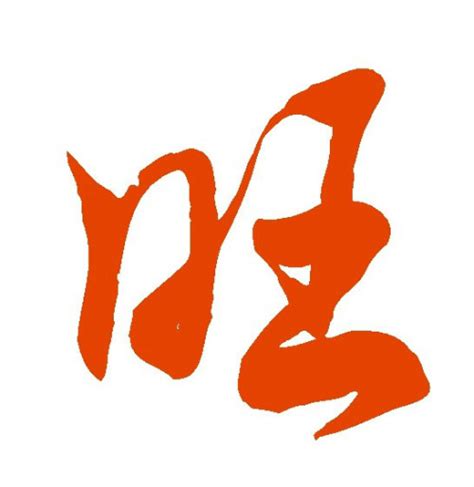 氵睿 字